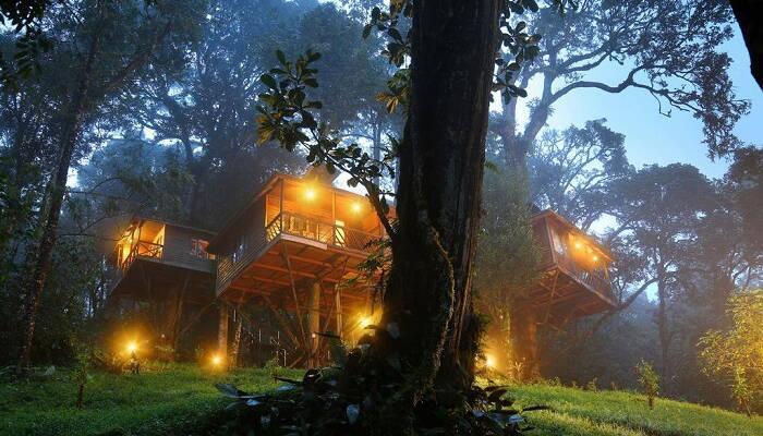 Best Tree Houses in Kerala