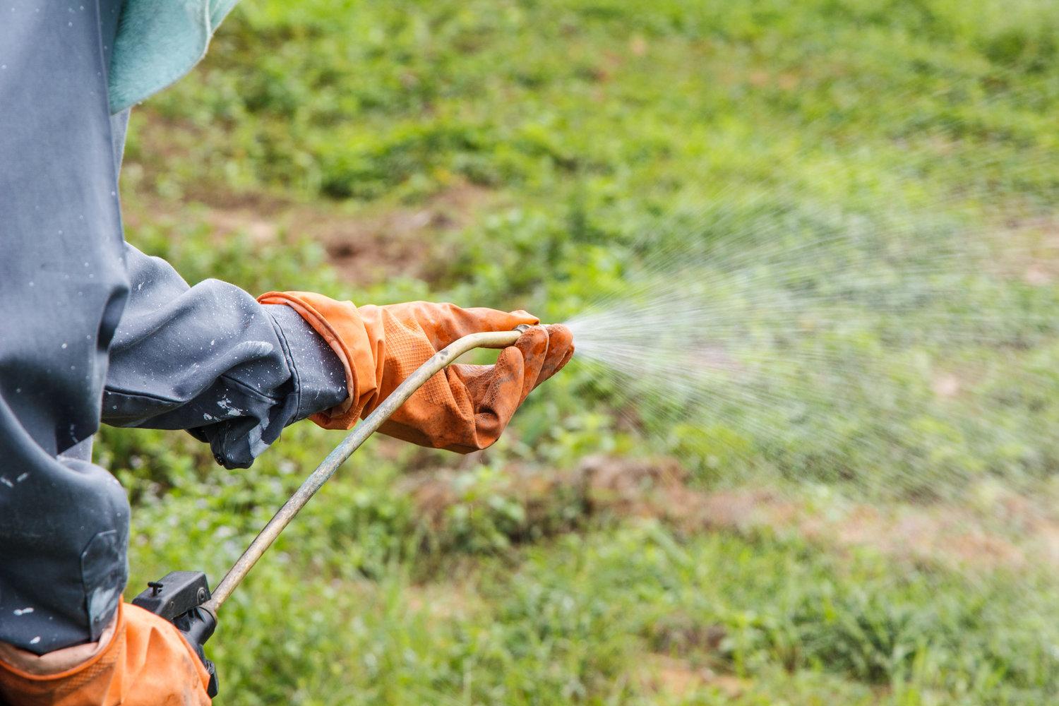 6 Factors to Consider Before Hiring Pest Control Contractors