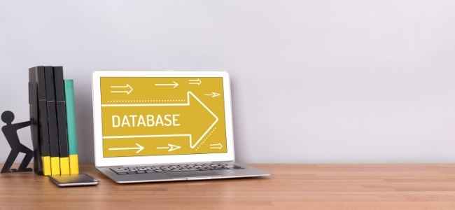 Database Marketing Services