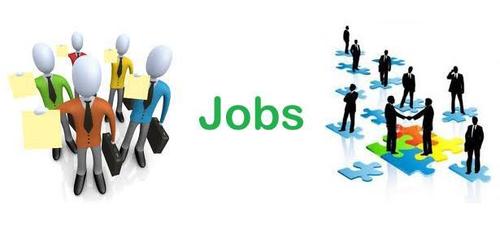 Job Consultancy Services