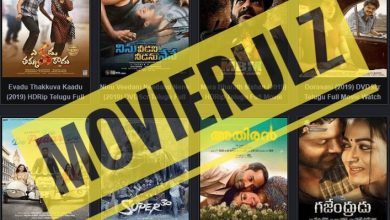 Movierulz plz – Download Latest Bollywood, Telugu and Hollywood Movies Movierulz