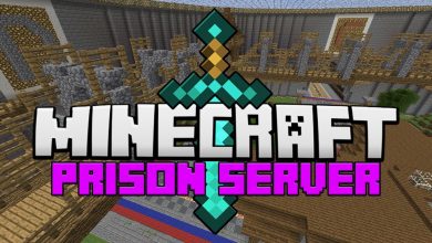 Best Results With Minecraft Prison Servers