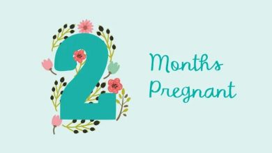 2nd Month Pregnancy