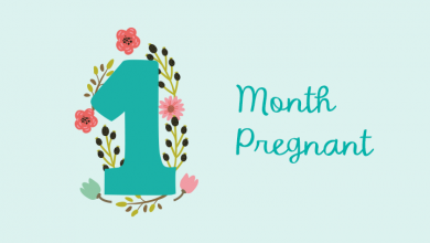 1st Month Pregnancy