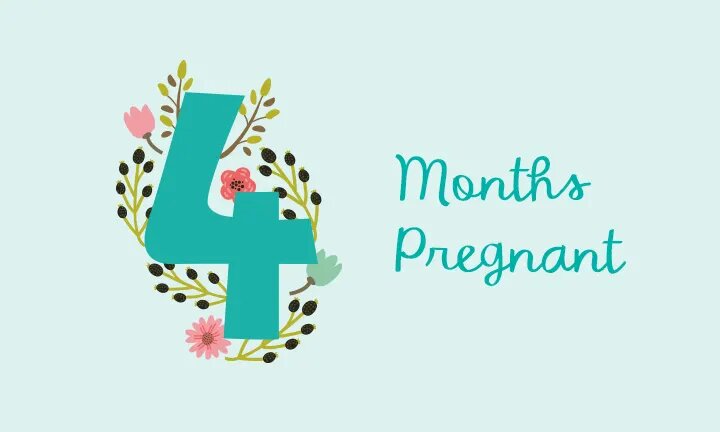 Fourth Month Pregnancy