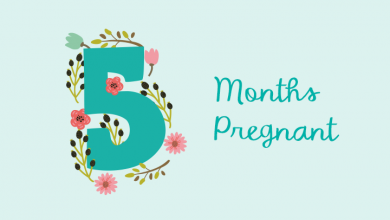 Fifth Month Pregnancy