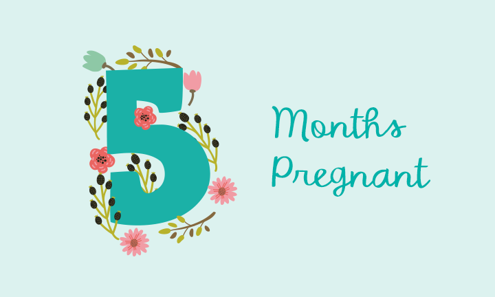 Fifth Month Pregnancy