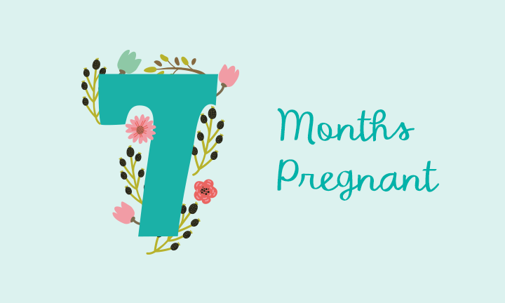 Seventh Month Pregnancy