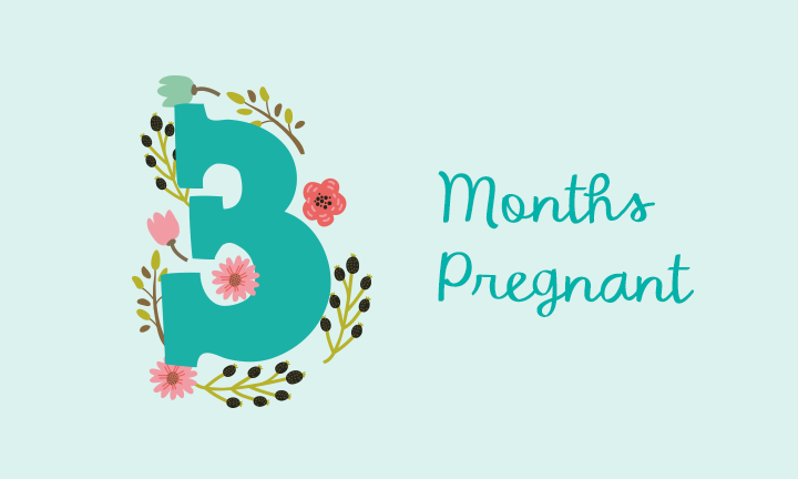 Third Month Pregnancy